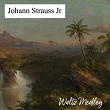 Waltz Medley | Johann Strauss Jr.