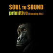 Primitive (Running Mix) | Soul To Sound