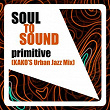 Primitive (Kako's Urban Jazz Mix) | Soul To Sound