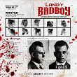 Bad Boy | Landy