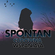 Cudowna wspaniala | Spontan