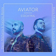 Cocktail (Denis Misharov & Sanchis Remix) | Aviator