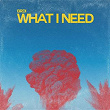 What I Need | Brdi