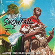 Snowfall #2 | Juicy P