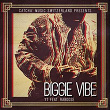 Biggie Vibe (feat. Raboose) | Yt