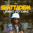 Jeunes Africains (Version live) | Shattadem