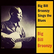 Big Bill Broonzy Sings the Blues | Big Bill Broonzy