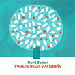 Twelve Bells For Libuse | David Boulter