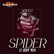 C'est toi | Spider