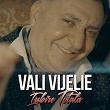 Iubire Totala | Vali Vijelie