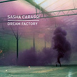 Dream Factory | Sasha Carassi