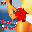 Manele Tanga | Adi De La Valcea