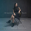 Dreamer in the Dark | Marika Takeuchi