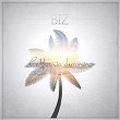 California Dreamin | The Biz