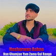 Nan Ghamjan Yam Zama Gul Range | Nosherwan Ashna