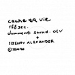 Cache ta vie (Document Sound 158sec) | Sizenov Alexander