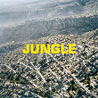 JUNGLE | The Blaze