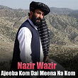 Ajeeba Kom Dai Meena Na Kom | Nazir Wazir