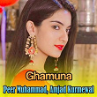 Ghamuna | Peer Muhammad, Amjad Kurmewal