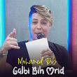 Galbi Bih Mrid | Dib El3ajib