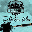 FELHOKÖN TÚLRA | Hibrid