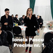 Precinu nr.1 | Ionela Pascu