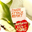 Shark Attack Report | One Minute Love Stories