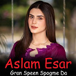 Gulan Cha Tol Math Math Shi | Aslam Esar