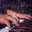 18 Jazz Night Whimsy | Bossa Nova