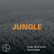 JUNGLE (Wind Down Soundscape) | Endel