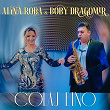 Colaj Etno (feat. Boby Dragomir) | Alina Roba