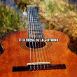 8 La Noche de la Guitarra | Latin Guitar