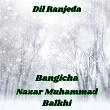 Dil Ranjeda (feat. Nazar Muhammad Balkhi) | Bangicha