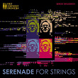 Serenade for strings | First Symphony Orchestra