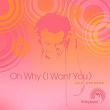 Oh Why (I Want You) | Luis Machuca