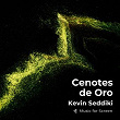 Cenotes de Oro | Kevin Seddiki