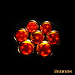 Shenron | Lybro