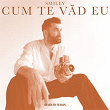 Cum te vad eu (Remix By Suman) | Smiley