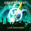 Deep Forest LIVE MACHINE | Deep Forest