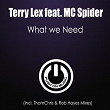 What We Need (feat. MC Spider) (Thomchris & Rob Hayes Mixes) | Terry Lex