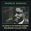 Survivance (Bolibana Collection) | Franklin Boukaka