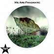 We Are Fragmatic | Max Freegrant