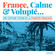 France, calme & volupté (Une certaine vision de la chanson française) | Sébastien Tellier