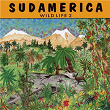 Sudamerica: Wild Life 2 | Célia Reggiani