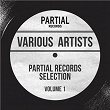 Partial Records Selection, Vol. 1 | Amelia Harmony