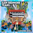 Tears | Sam Redmore