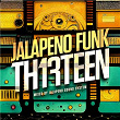 Jalapeno Funk, Vol. 13 | The Allergies