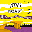 Bridge over Troubled Dreams | Atili