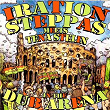 In the Dub Arena | Iration Steppas
