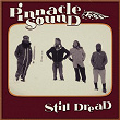 Still Dread | Pinnacle Sound